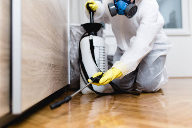 Best Bed Bug Extermination  in Wayne City, IL