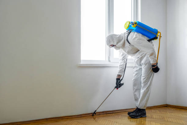 Best Local Pest Control Services  in Wayne City, IL