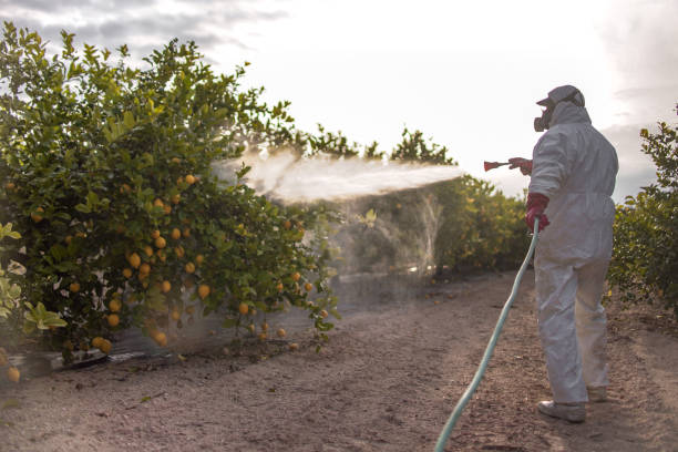 Best Pest Control Near Me  in Wayne City, IL