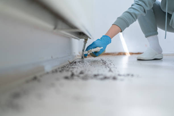 Best Emergency Pest Control  in Wayne City, IL